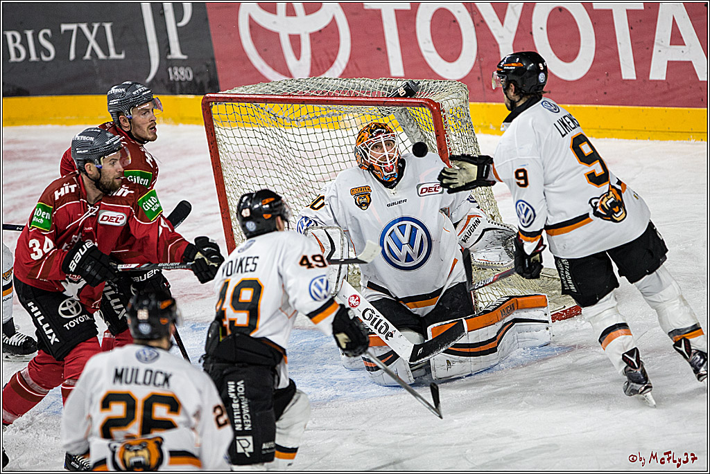 DEL, Koelner Haie - Grizzlys Wolfsburg, 17.03.2017